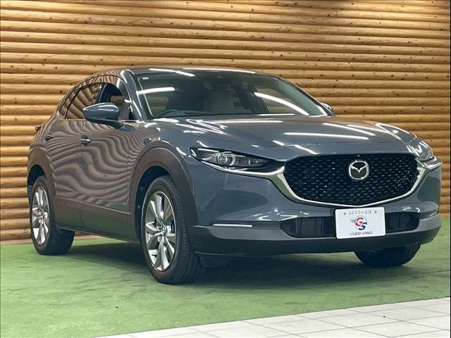 CX-30
