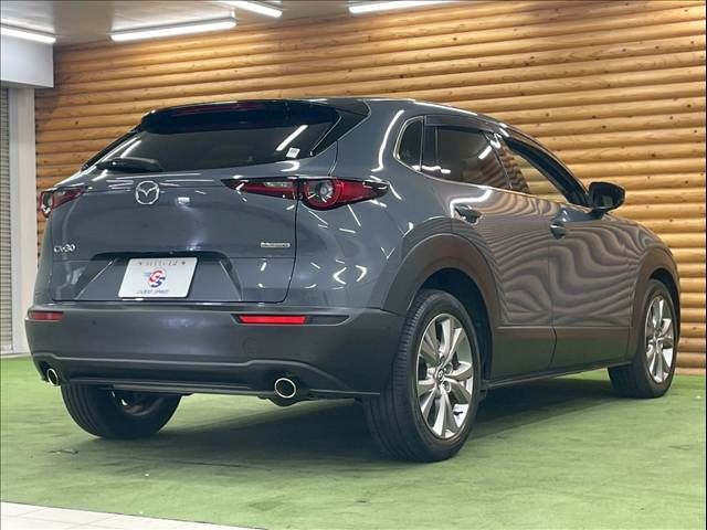 CX-30