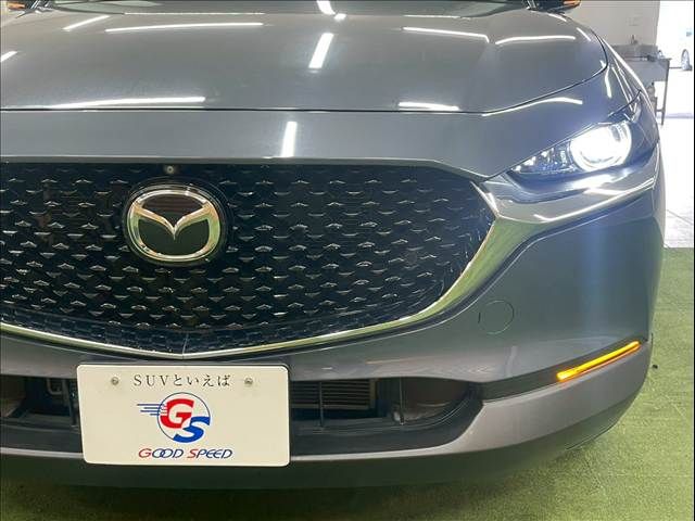 CX-30