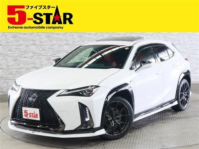 LEXUS UX250h