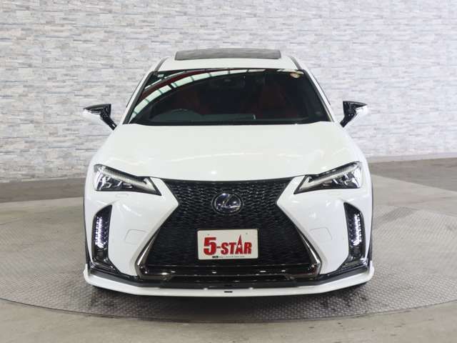 LEXUS UX250h