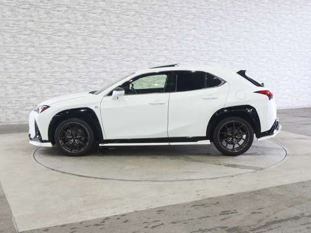 LEXUS UX250h