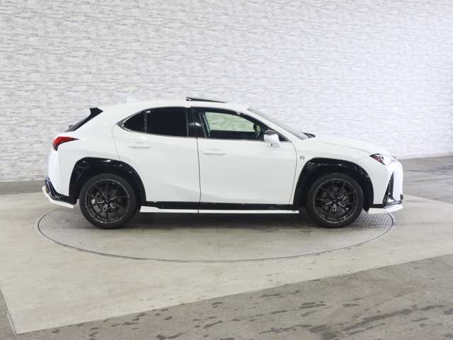 LEXUS UX250h
