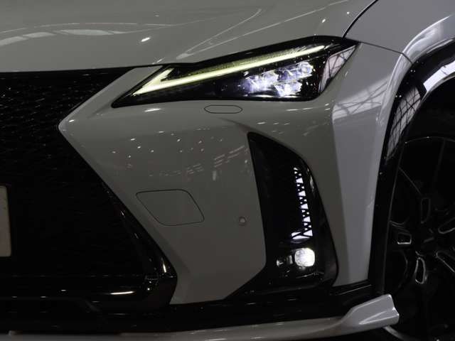 LEXUS UX250h