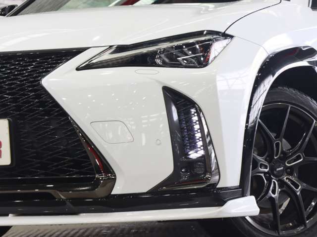 LEXUS UX250h