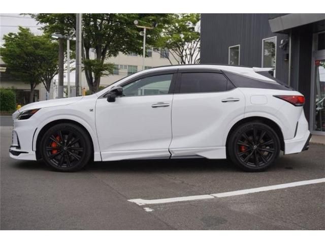 LEXUS RX500h