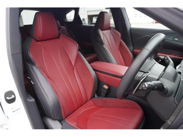 LEXUS RX500h