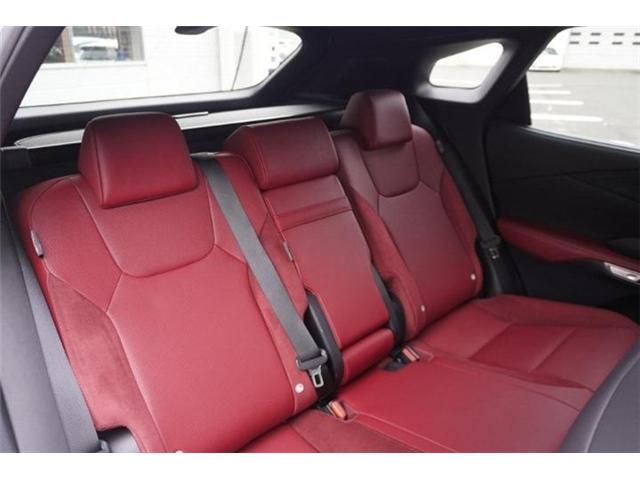 LEXUS RX500h