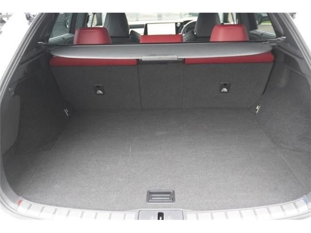 LEXUS RX500h
