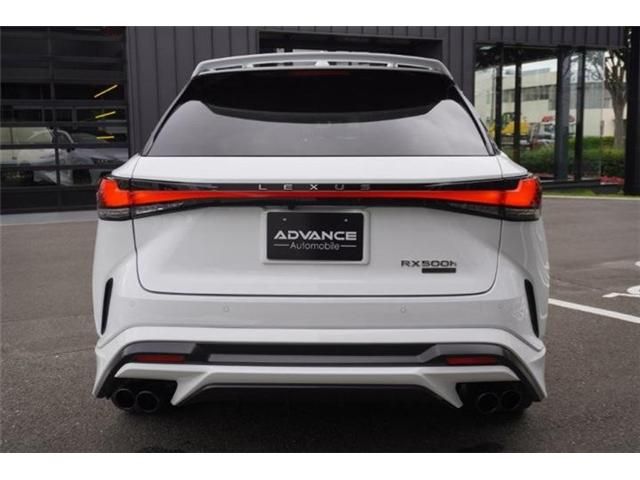 LEXUS RX500h