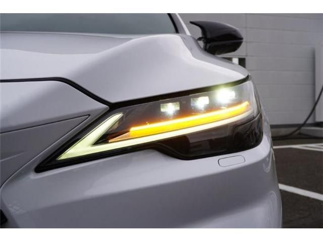 LEXUS RX500h