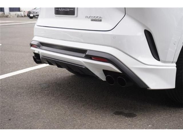 LEXUS RX500h