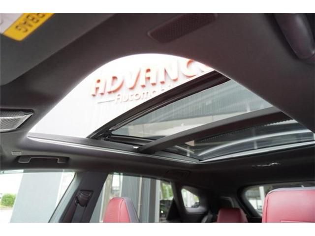 LEXUS RX500h