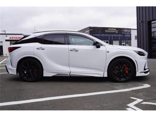 LEXUS RX500h