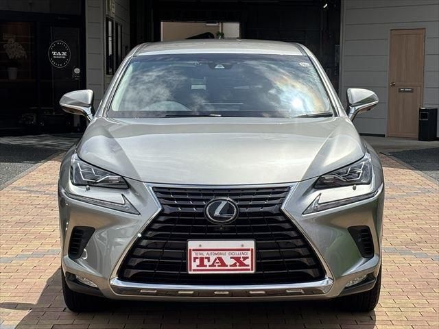 LEXUS NX300h