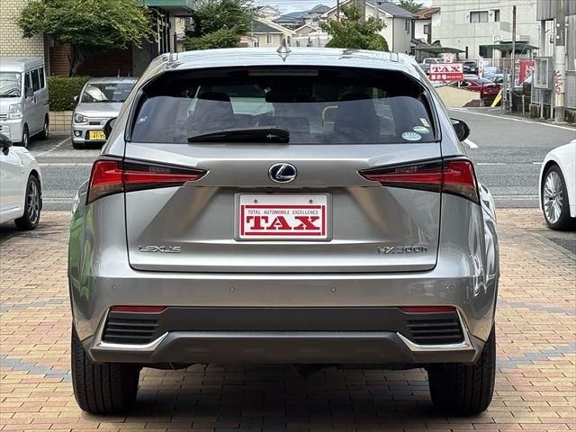 LEXUS NX300h
