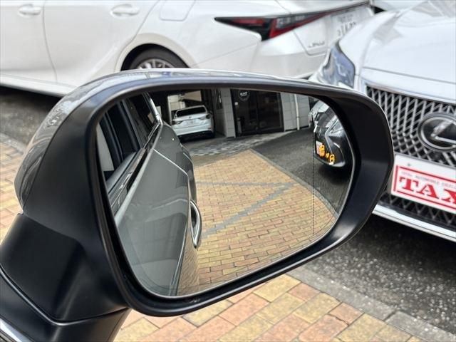 LEXUS NX300h
