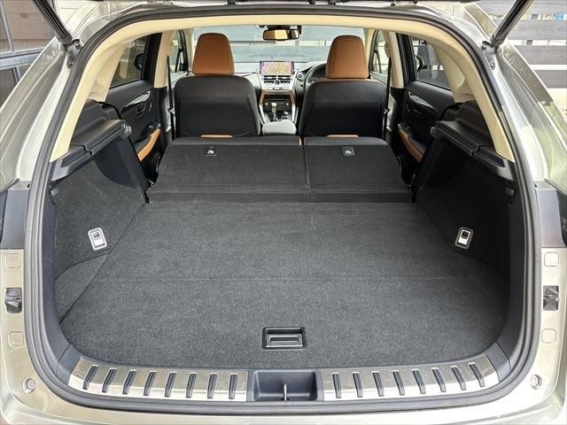 LEXUS NX300h