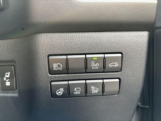 LEXUS NX300h