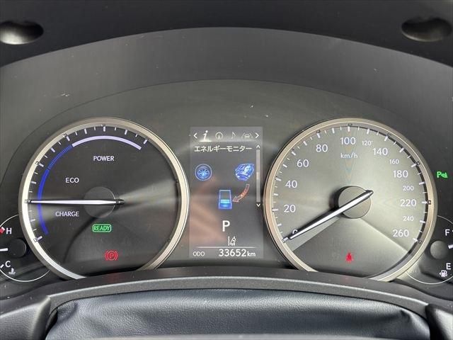 LEXUS NX300h