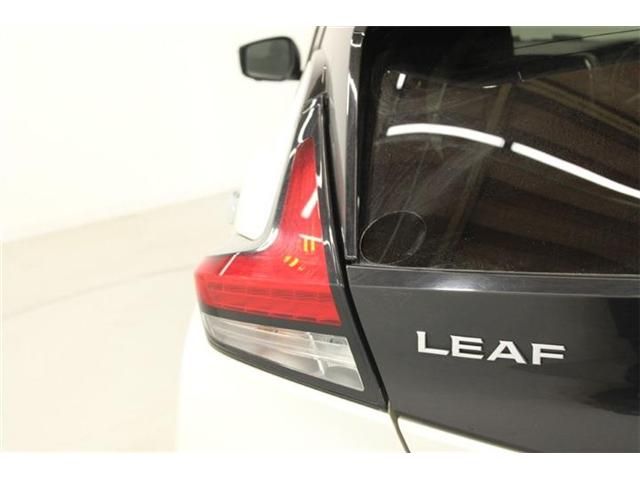LEAF