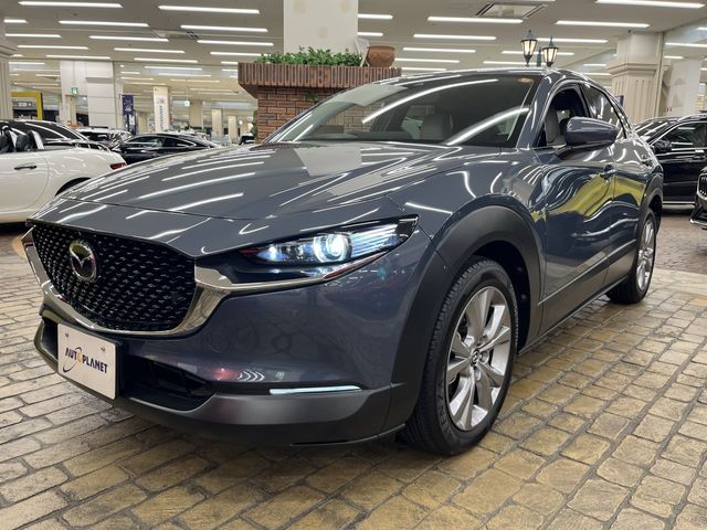 CX-30
