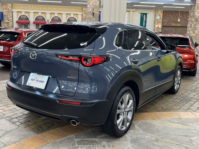 CX-30