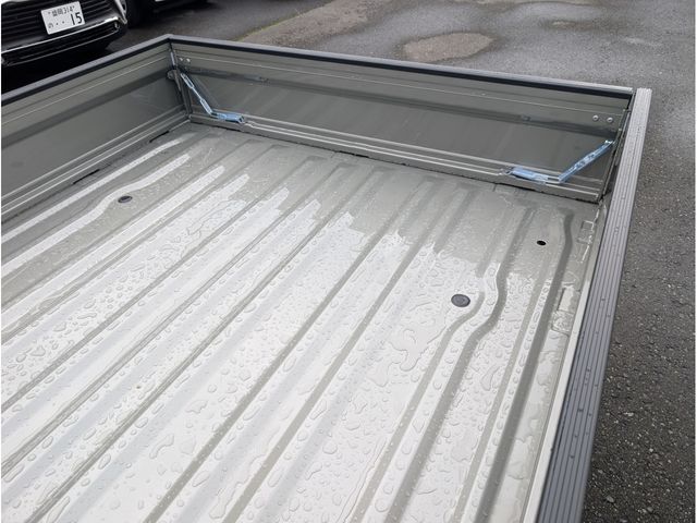 CARRY truck 4WD