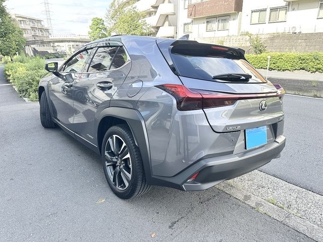 LEXUS UX250h AWD