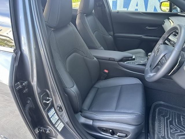 LEXUS UX250h AWD