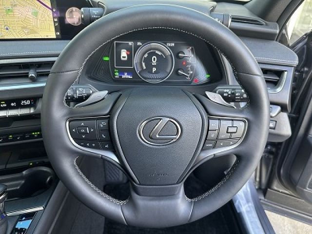 LEXUS UX250h AWD