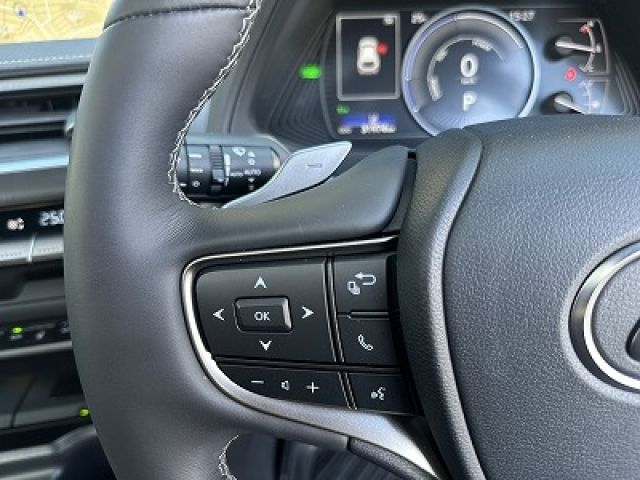 LEXUS UX250h AWD