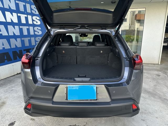 LEXUS UX250h AWD