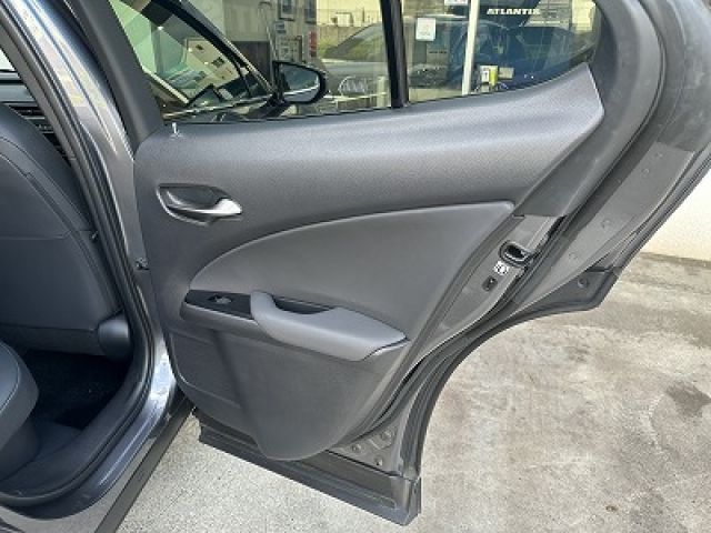 LEXUS UX250h AWD
