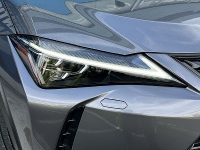 LEXUS UX250h AWD