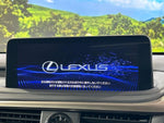 LEXUS RX300
