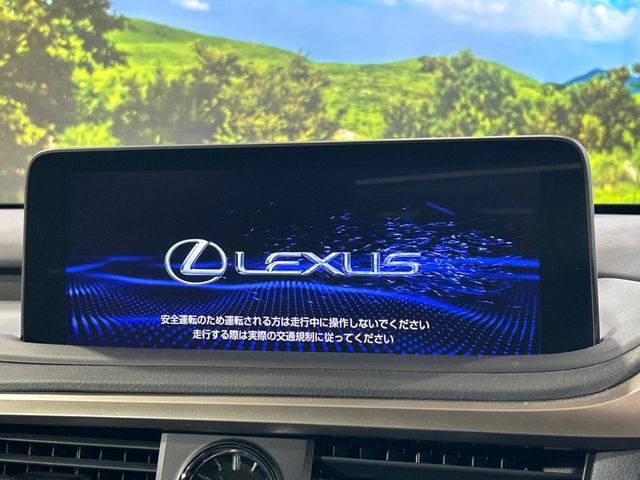 LEXUS RX300