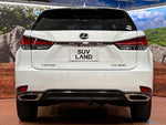 LEXUS RX300