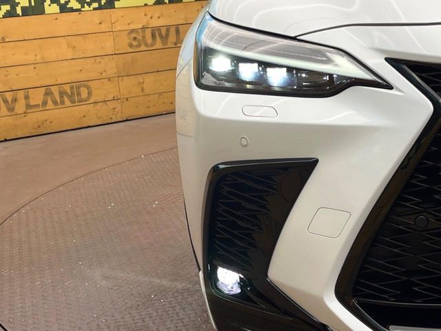 LEXUS NX350h AWD