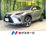 LEXUS NX300h