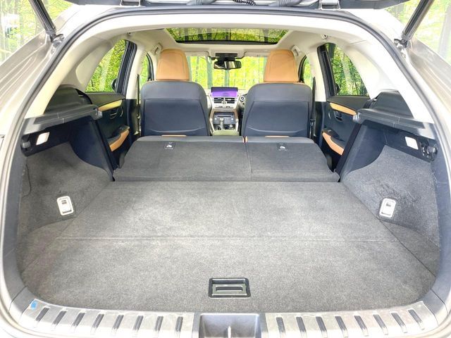 LEXUS NX300h