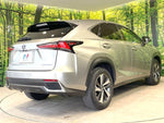 LEXUS NX300h