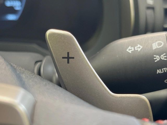 LEXUS IS300h