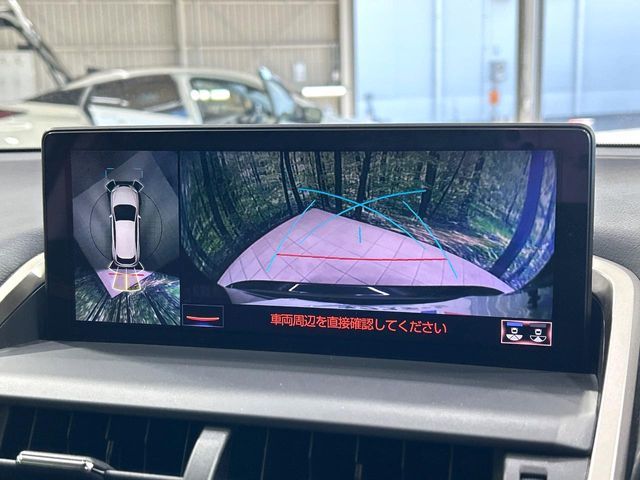 LEXUS NX300h