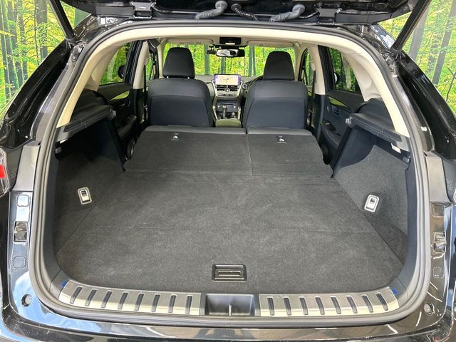 LEXUS NX300h