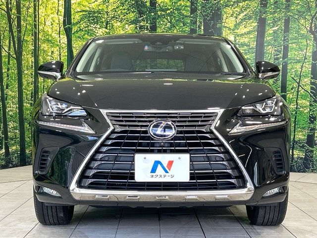 LEXUS NX300h