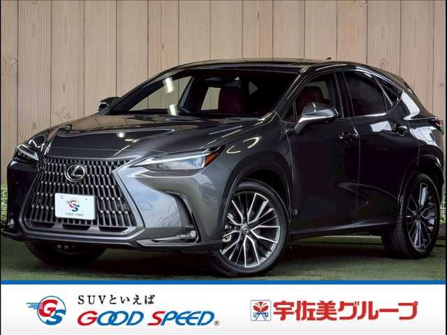 LEXUS NX350h AWD