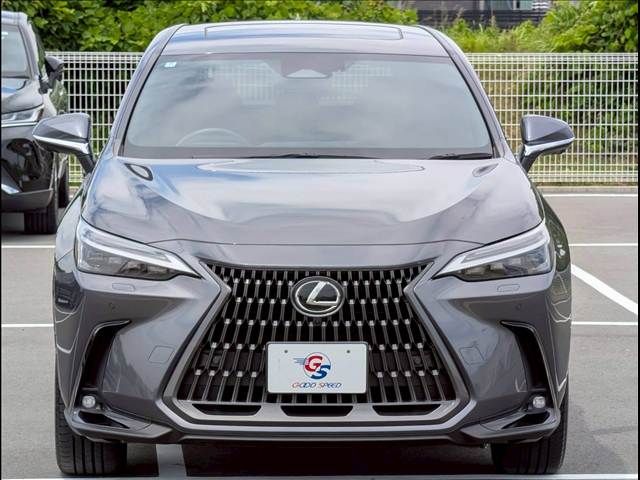 LEXUS NX350h AWD