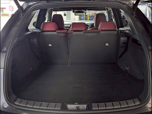 LEXUS NX350h AWD