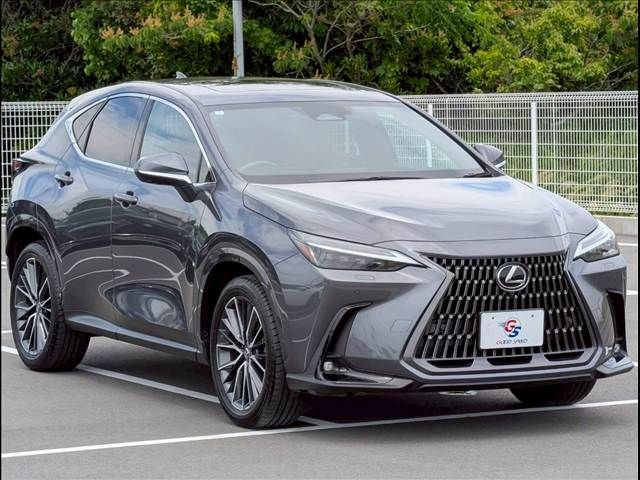 LEXUS NX350h AWD